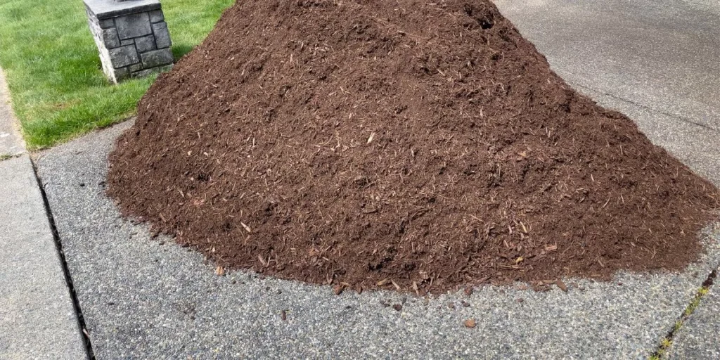 What Are the Best Organic Methods for Lawn Maintenance? What Are the Best Organic Methods for Lawn Maintenance?